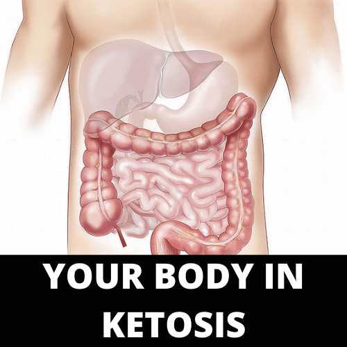 whats ketosis