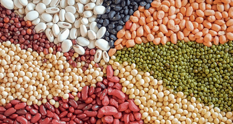 beans carbohydrates